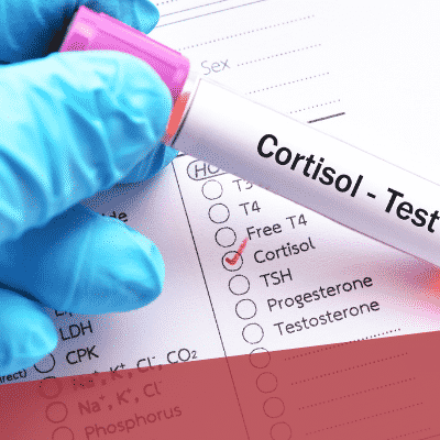 Cortisol-Test-Tagesprofil