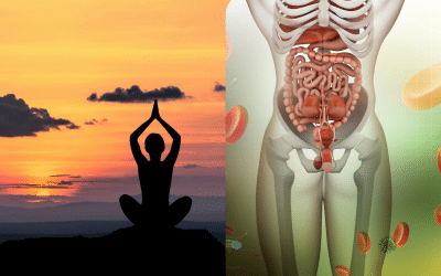 Yoga meets Verdauung: Mit Yoga deine Verdauung unterstützen? Erfahre hier mit welchen Übungen
