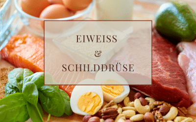 Schilddrüse & Eiweiß: Warum Protein für Hormone so wichtig ist